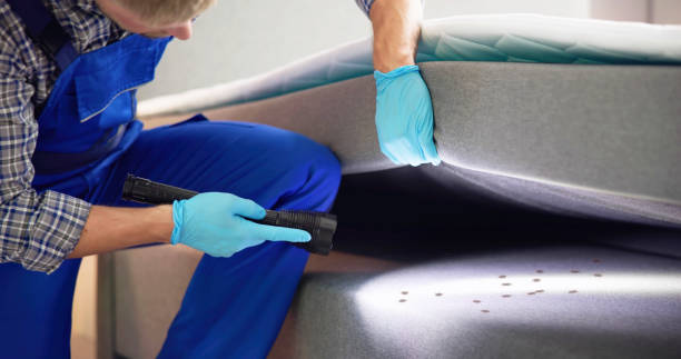 Best Residential Pest Control  in Blair, WI
