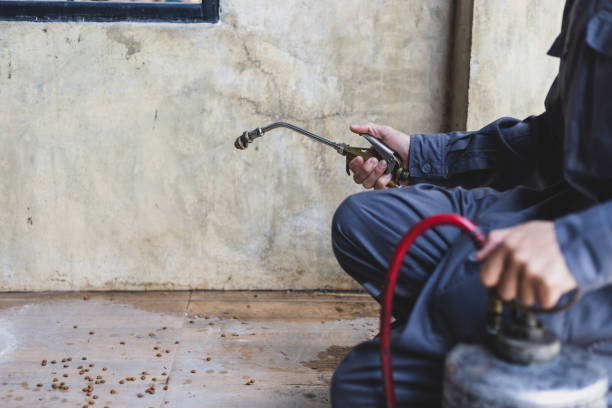 Best Flea Control Services  in Blair, WI